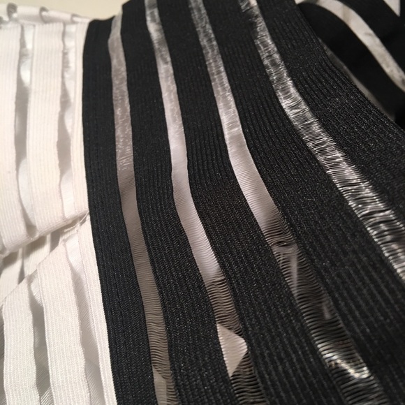 NWT Elegant Stripe Sheer Skirt - Picture 3 of 7